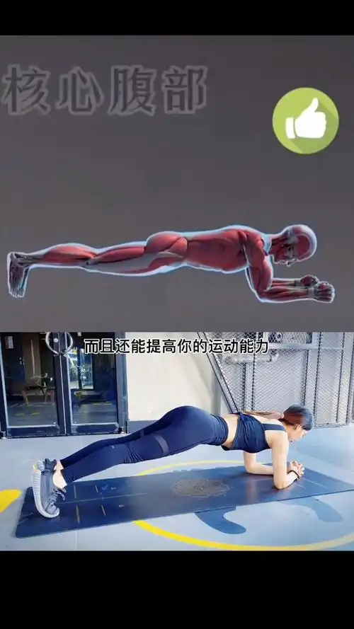 每天坚持五分钟的平板支撑好处很多
