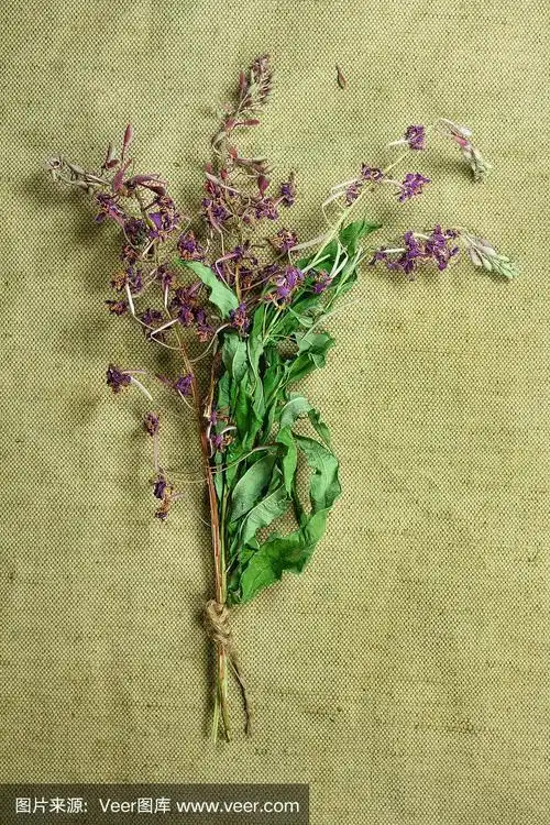 干的,火龙草,草药,草本,氦