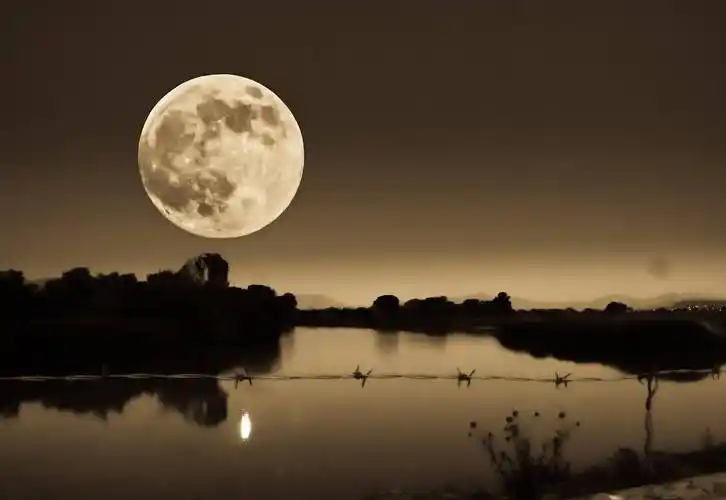 关于月圆的句子有哪些(关于月圆的句子有哪些成语)