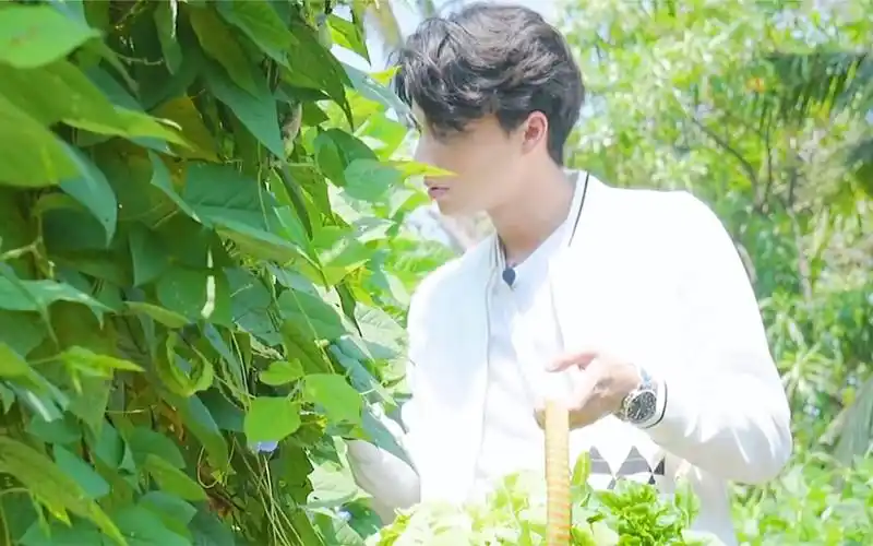 mewgulf〗小森林.糕卡娜篇 小农夫阿糕与大总裁阿缪的田园生活