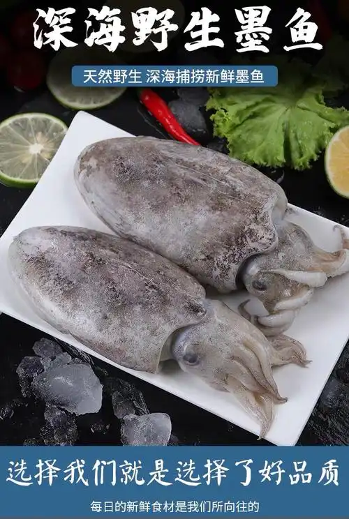 新鲜墨鱼鲜冻大乌贼鲜活大墨鱼超大鲜墨鱼目鱼墨斗鱼 3斤