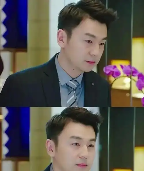 对于雷佳音的了解是看了我的前半生这部电视剧,他在里面演了一个背叛