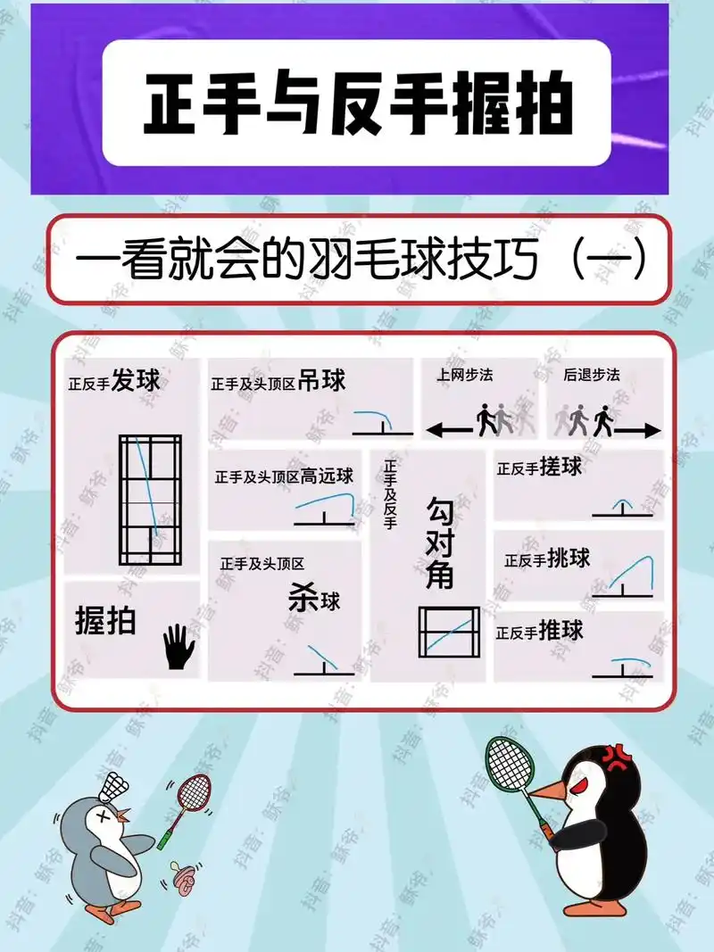 一图看懂正反手握拍.#羽毛球 #一起打羽毛球 #羽毛球教学  - 抖音