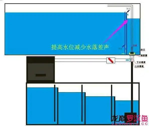麻烦看能不能用小绵羊3000这变频泵.