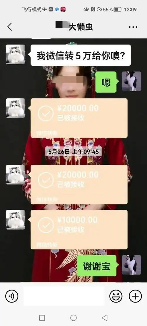 大妈一人分饰四角骗走了300多万!_陈先生