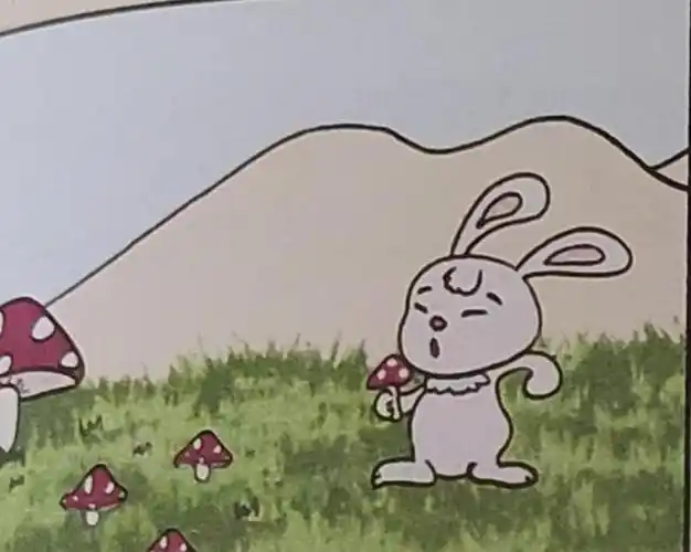 二年级看图写话《蘑菇伞》