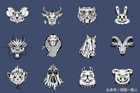 生肖虎在人生中的第三个本命年之后的巳年和申年为劫数,也就是36岁和