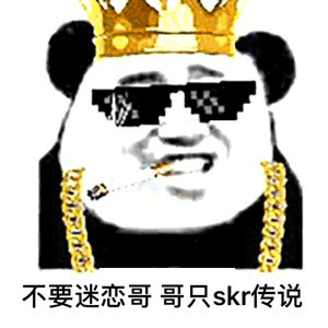skr不要迷恋哥哥只skr传说gif动图_动态图_表情包下载_soogif