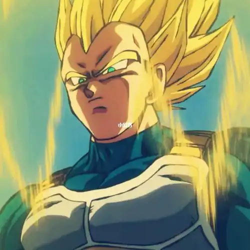 贝吉塔头像自截