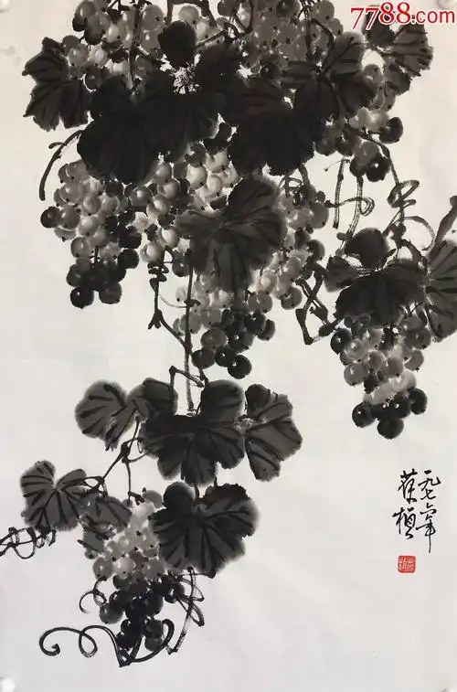 苏葆桢葡萄镜片a88s10f