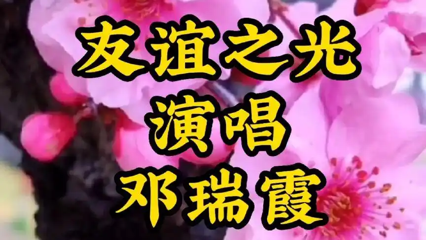 怀旧经典 《友谊之光》粤语版,邓瑞霞演唱 ,请欣赏