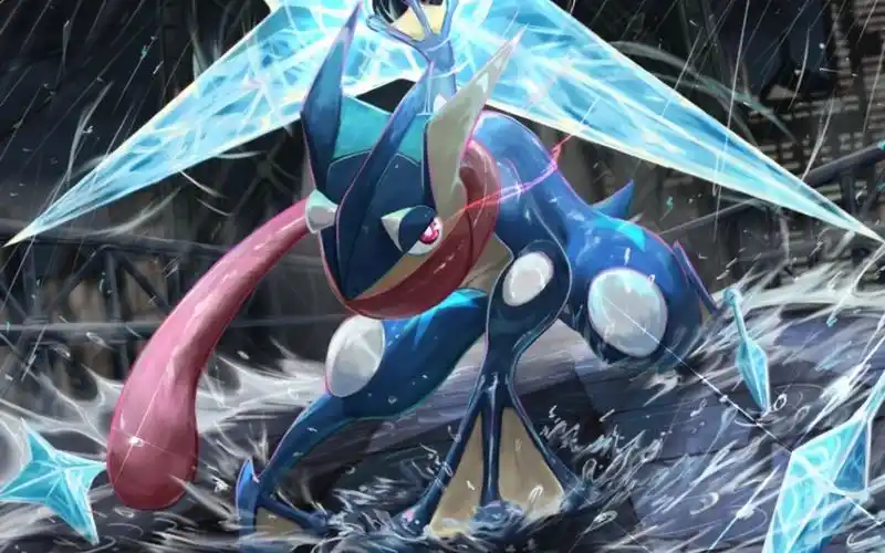 《口袋觉醒》甲贺忍蛙帅就完事儿了