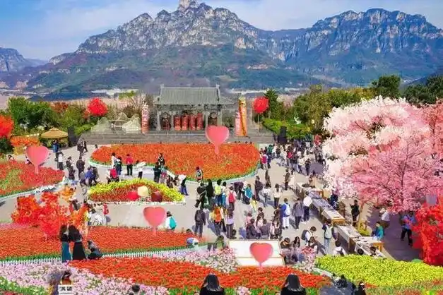 免门票三八节来辉县宝泉畅玩郁金香花海