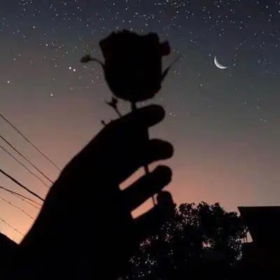 风景唯美头像_抖音风景唯美头像下载_游戏吧