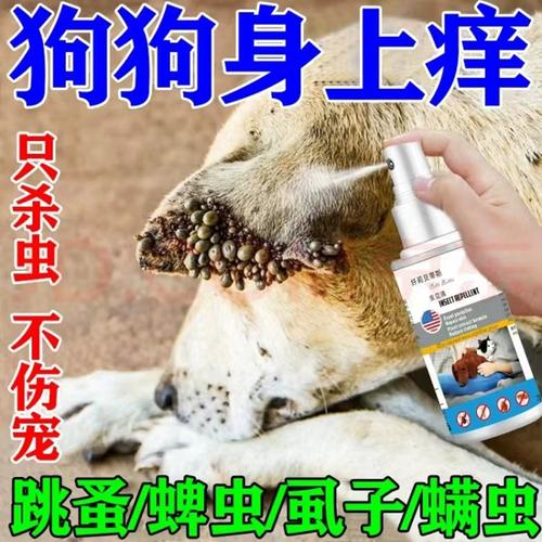 狗狗体外驱虫药狗身上去跳蚤除虱子的药蜱虫专用药杀虫剂喷雾外用