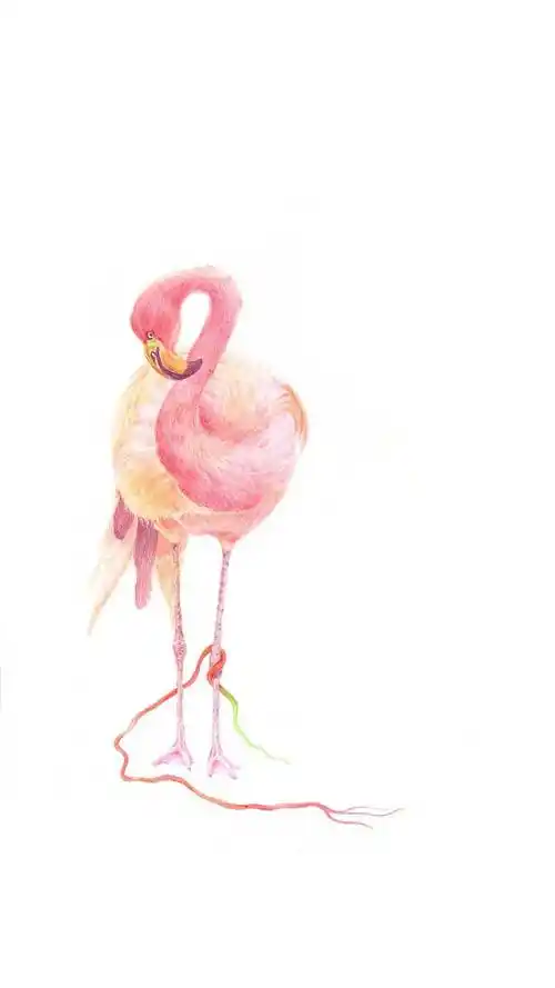 手绘火烈鸟插画唯美高清手机壁纸