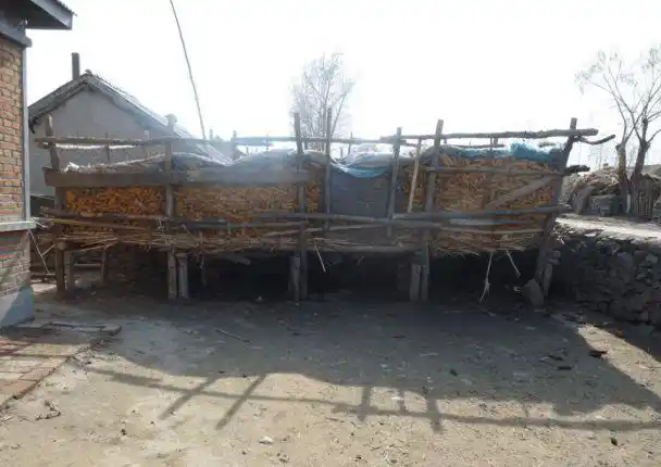 东北农村有一种楼,它叫苞米楼子