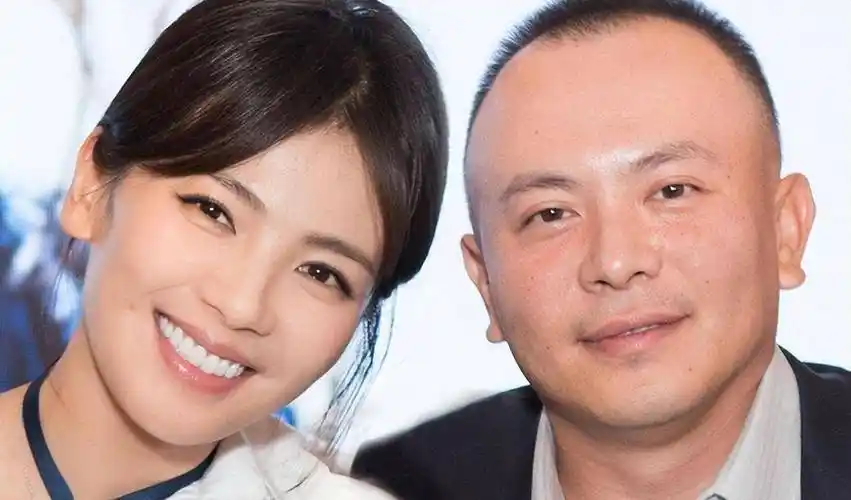 刘涛:豪门梦碎急复出,三年替老公还4亿_王珂_生活_婚礼