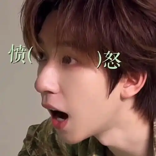 贺峻霖一个人就是一套表情包    #贺峻霖咸甜粽子人格分裂