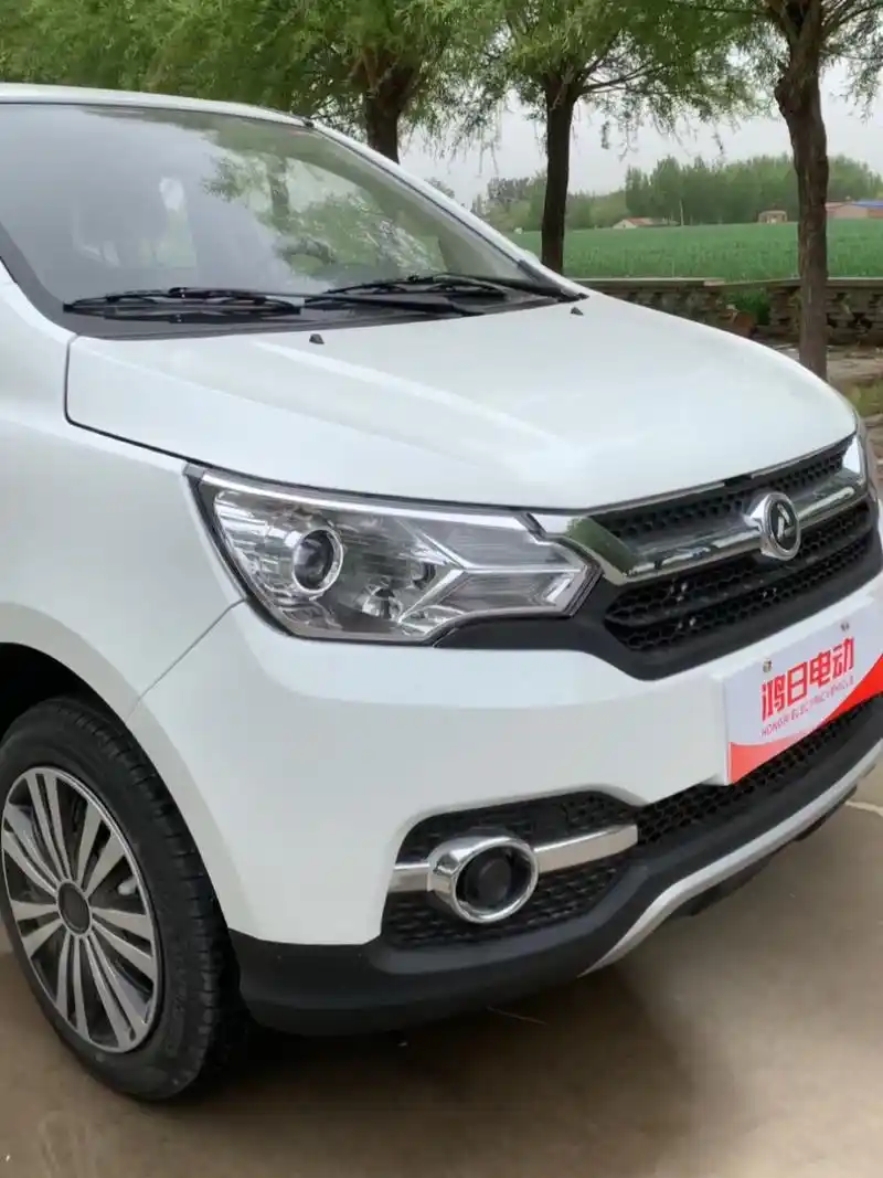 鸿日电动汽车油电两用四轮代步车