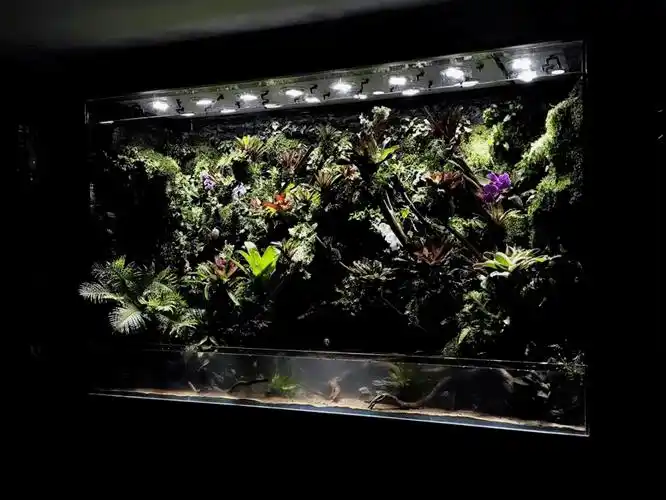 武汉伢子伢子什么意思_朋友圈点名发照片怎么玩_火山石鱼缸造景