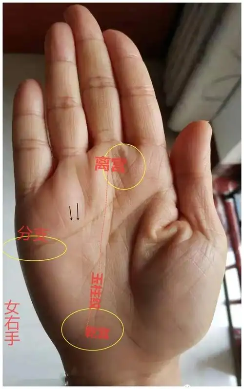 手部女生拥有什么样的手相最有福气