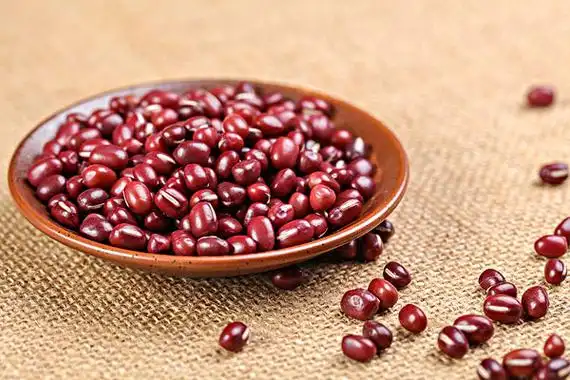 红豆图片