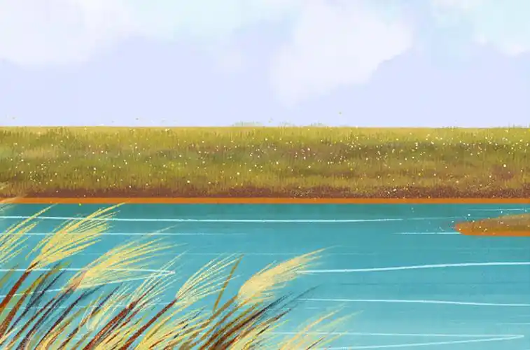 线上活动中主办方原创的手绘——东营黄河入海口