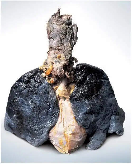 300分求一张戒烟的桌面图片.