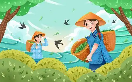 彩色卡通手绘春天谷雨少女采茶风景原创插画海报茶文化采茶采茶春茶
