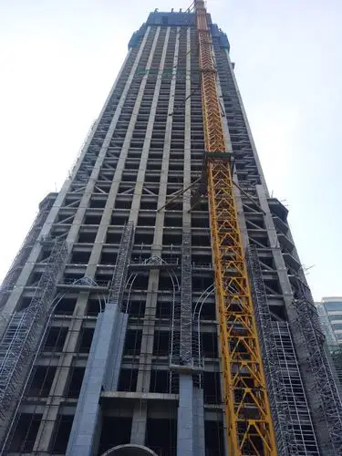 1月工程进度 | 新年伊始,项目主体结构即将喜封金顶