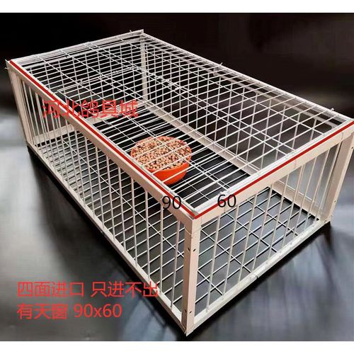 天落笼加密只进不出鸽子笼鸽子活络撞门笼自动收鸽鸽子笼鸽子神器