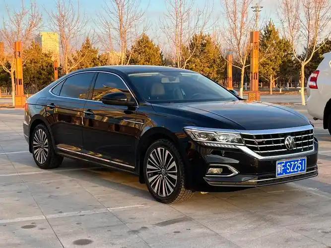 【兴安盟】2021年1月 大众 帕萨特 2020款 改款 330tsi 豪华版 国vi