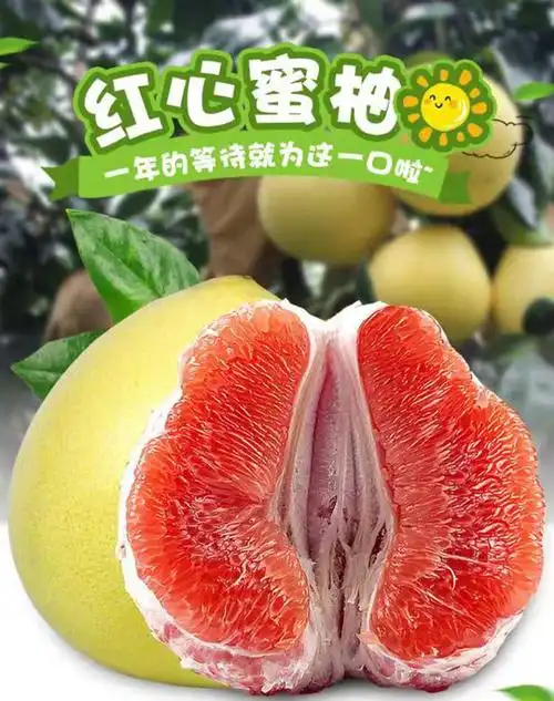 红心蜜柚_01.jpg