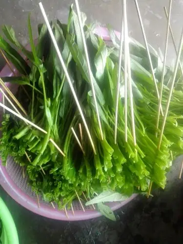 油腻吃多啦,来串空心菜!