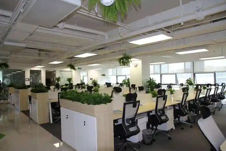 怎么布局办公室好办公室装修风水摆设和布局