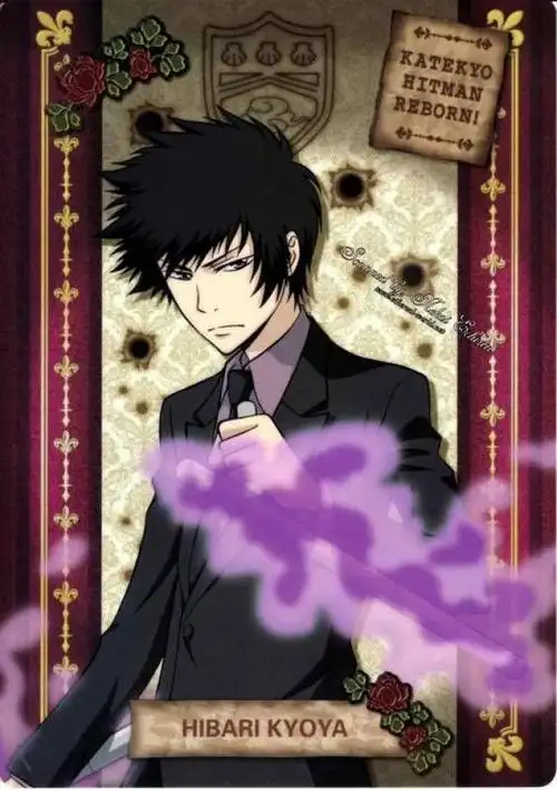 家庭教师 十年后的云雀恭弥