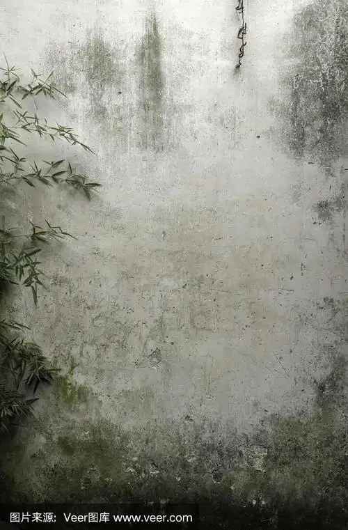 中国园林中的古墙