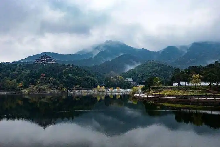 新洲区_武汉市_优惠