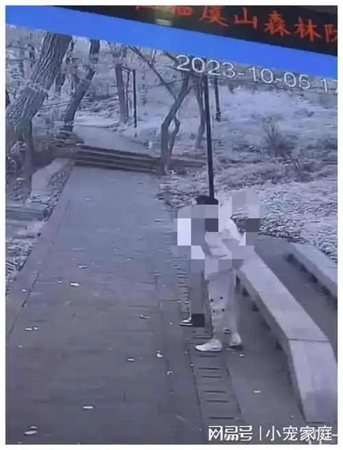 公园一对男女野战现场惊现多人围观