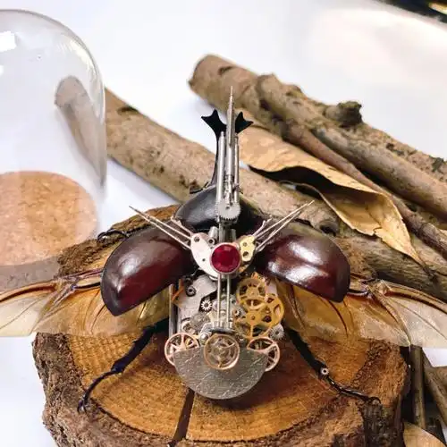 新手制作独角仙标本(教程向)