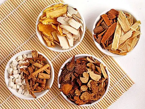 药草图片_图片大全