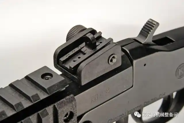 这是衣架还是枪齐亚帕小獾生存步枪