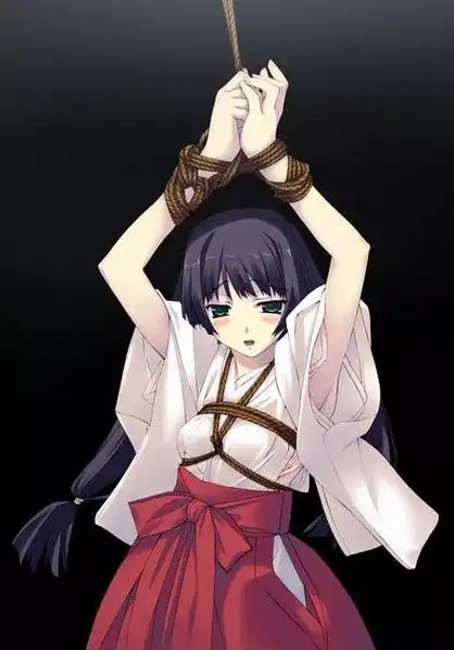 二次元美少女的捆绑日常,诸君可喜欢!