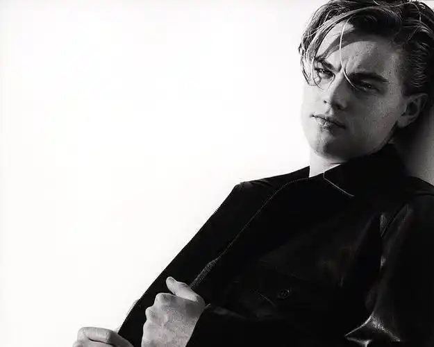 莱昂纳多迪卡普里奥小李子