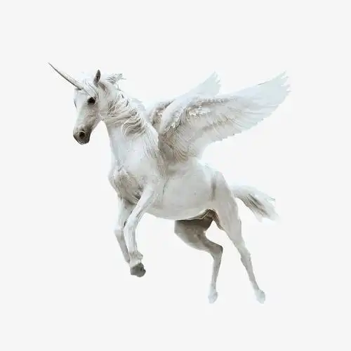 唯美独角兽飞马
