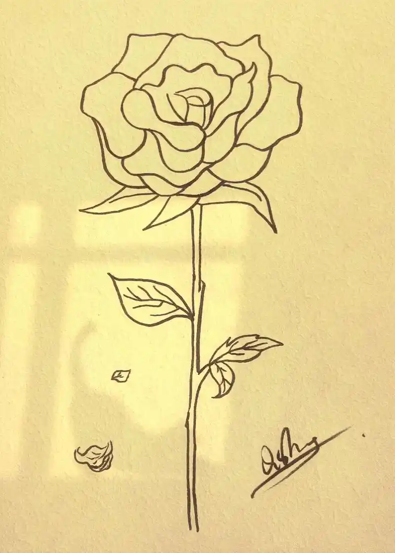 玫瑰花教程.#画画 #简笔画 #一起学画画 #手绘 #线稿 - 抖音