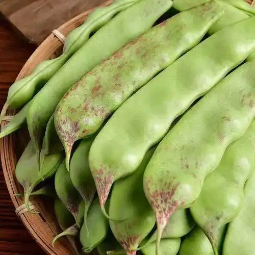 豆角正宗一点红9斤当季新鲜蔬菜开锅烂面豆大其它