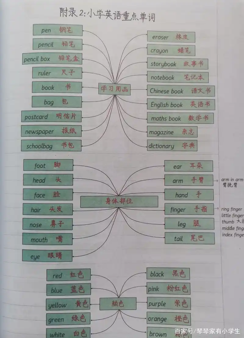 小学英语重点单词分类思维导图汇总