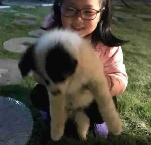 那个被租客带走,再也无法回来的9岁女孩章子欣,她的家人如何了